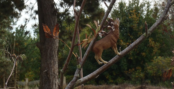 Baumhirsch